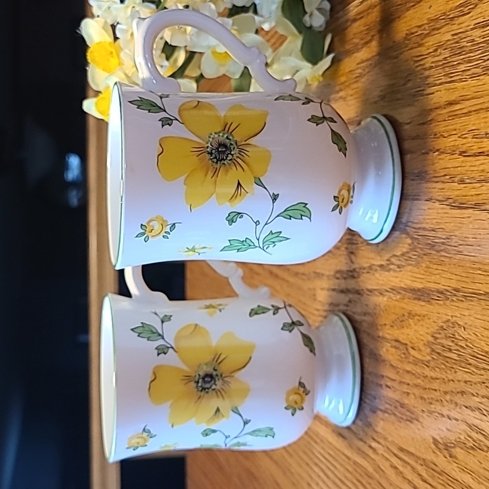 Royal Victoria Floral Fine China Tea Cups